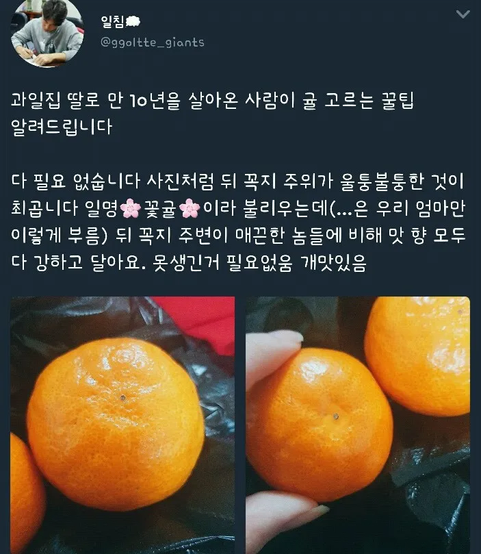 맛있는 귤 고르는 팁.jpg 